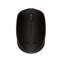 Mouse Wireless Logitech B170, Negru