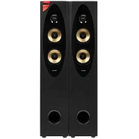 Sistem Audio F&D T-60X PRO, Negru